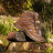 Ботинки HAIX Black Eagle Athletic 2.0 N GTX Mid, brown